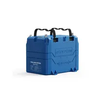 Bateria LiFePO4 RoyPow 12.8V, 100AMP