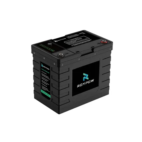 Bateria LiFePO4 RoyPow 12.8V, 100AMP, IP65