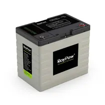 Bateria LiFePO4 RoyPow 12.8V, 50AMP, IP65 S1250H